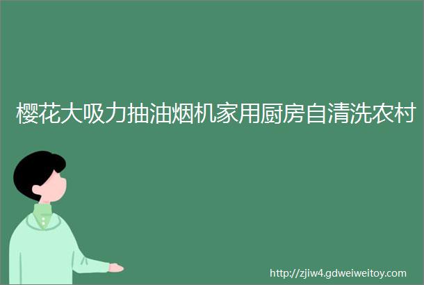 樱花大吸力抽油烟机家用厨房自清洗农村