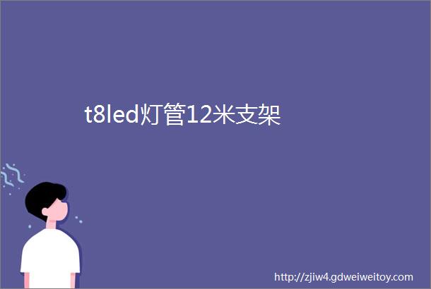 t8led灯管12米支架