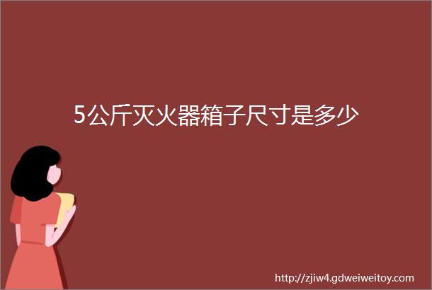 5公斤灭火器箱子尺寸是多少